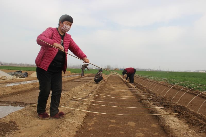 疫情防控、春耕生產(chǎn)兩手抓