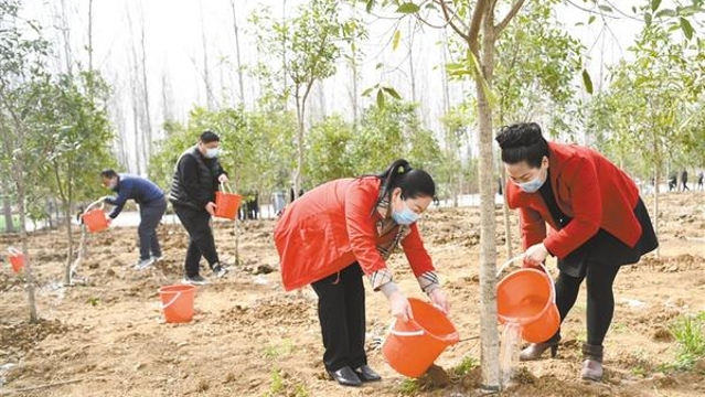 義務(wù)植樹 添綠周口